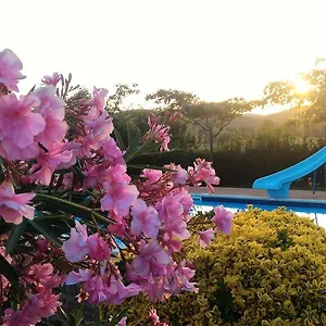 Agriturismo La Mandriana Cura Nuova